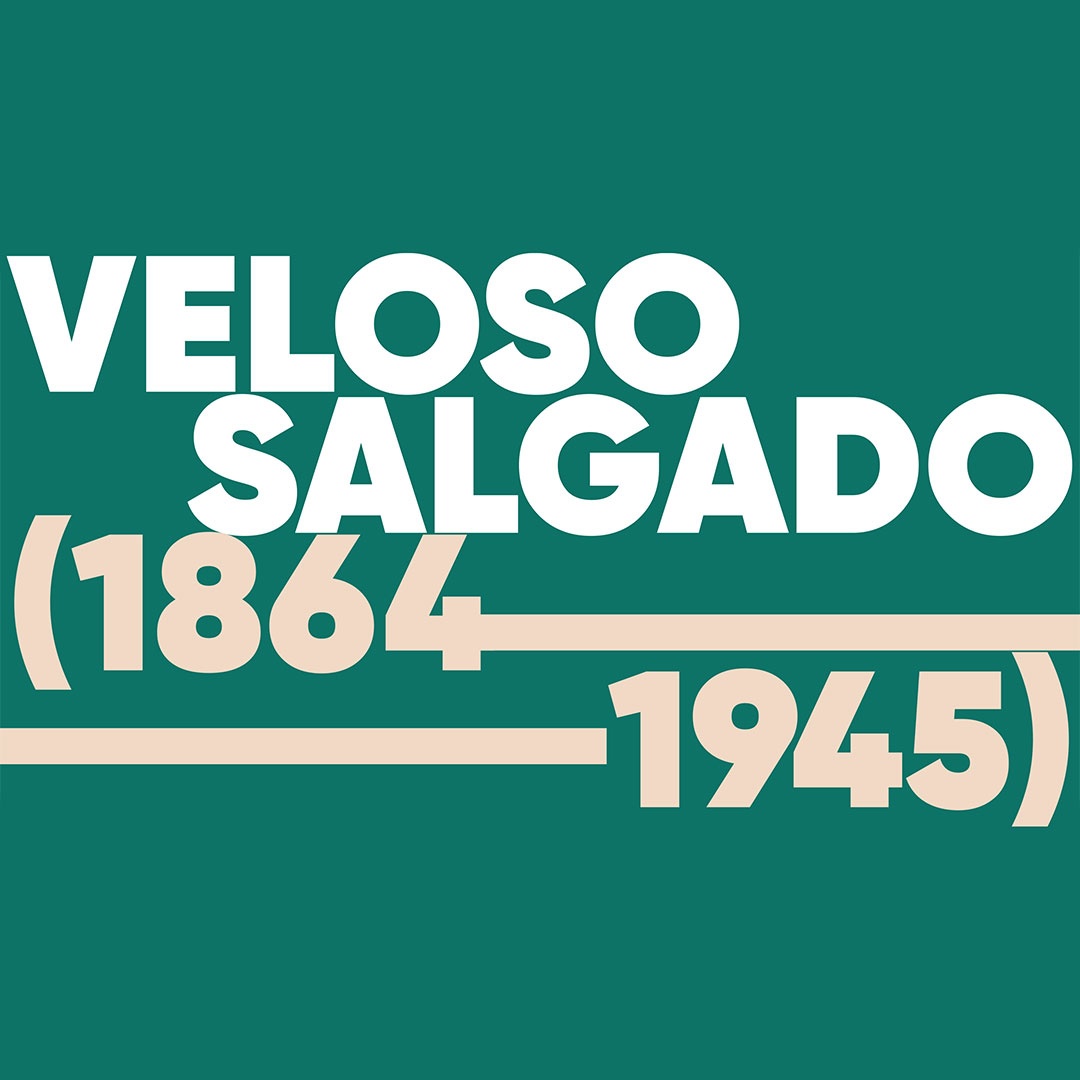 Veloso Salgado (1864—1945) 